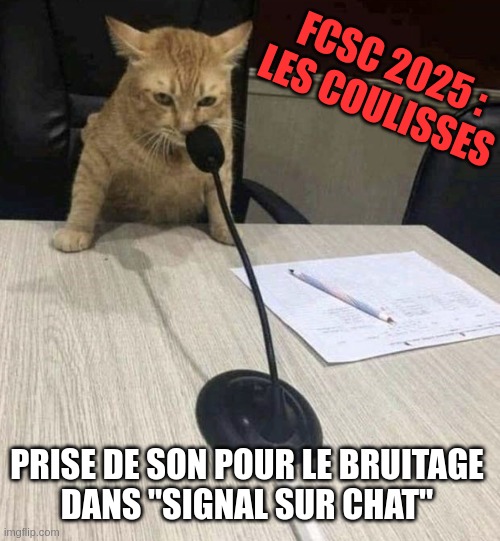 Signal sur chat